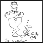 Software consulting: genie