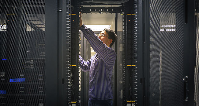 The Role of IT in Data Management